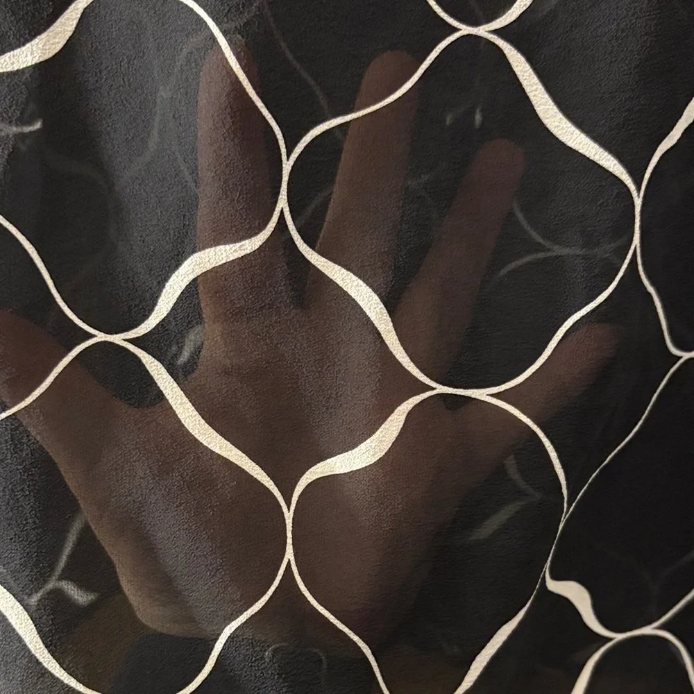 Sheer %100 Silk Button Down Blouse - Picture 6 of 6